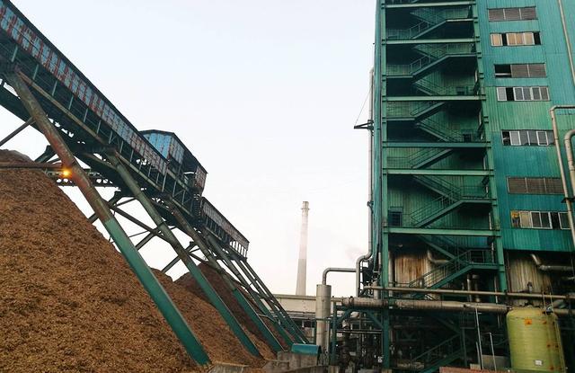 深度解密-小米纸巾为何如此火爆|纸巾|竹纤维|慈