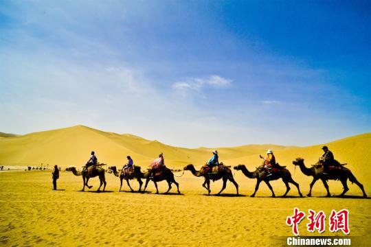 图为游客骑骆驼畅游敦煌大漠。 王斌银 摄
