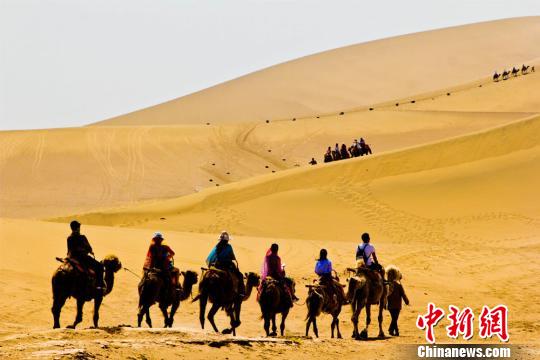 图为游客骑骆驼畅游敦煌大漠。 王斌银 摄