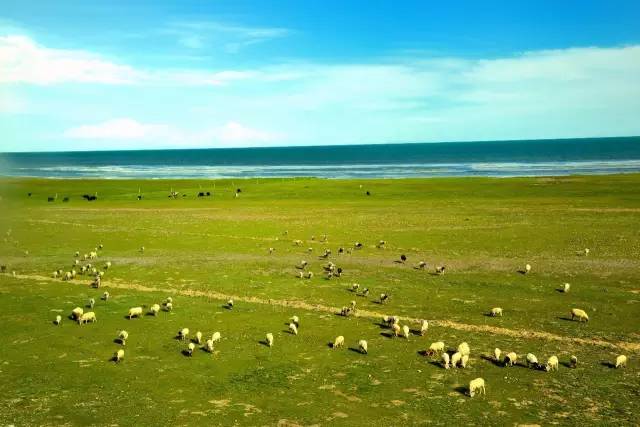 8月最佳旅行地!国内最凉爽的20个美景,每个都