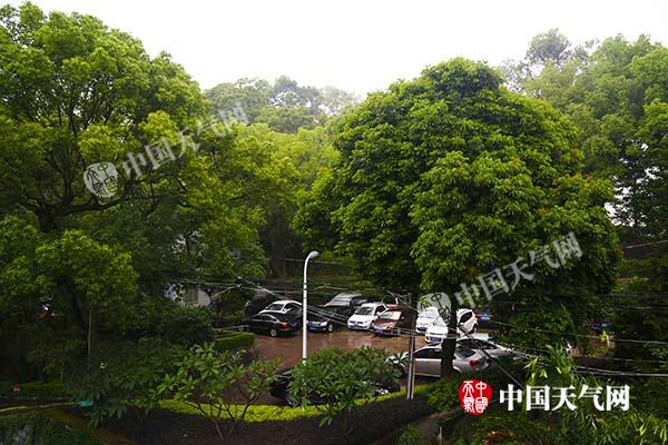 福建迎今年以来最强雨 明天南部局地仍有大暴雨