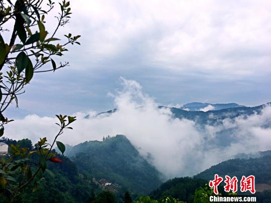 山间云雾终将散开,大山深处终将迎来阳光。 邢翀 摄