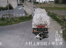 [警示录：死神来了] 大货车盲区分析和避祸方法 第1张
