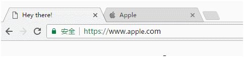 地址栏的显示是apple.com,肉眼根本无法识别出这是假冒产品。只有将真假网址对比来看,才能发现假网址的字母(使用西里尔语里的a,比英文的a看起来略小)