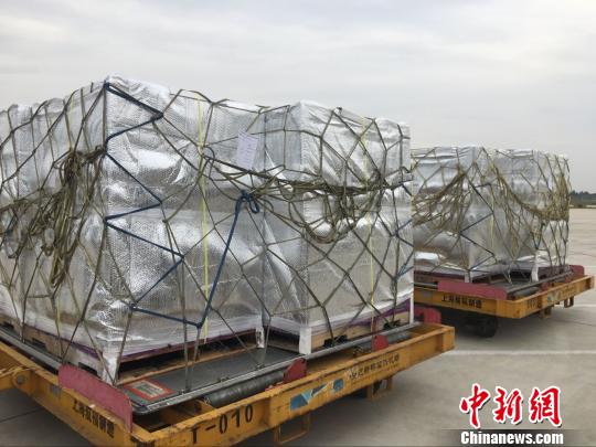 美国应季水果直降安徽合肥|水果|合肥|王玉环