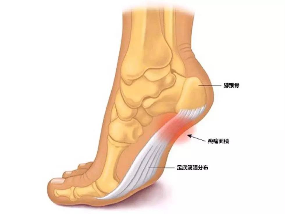 游泳抽筋怎么办?四招教你随机应变