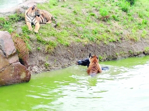 最快取得博士学历\/最快取得博士学历_百度 _ 知