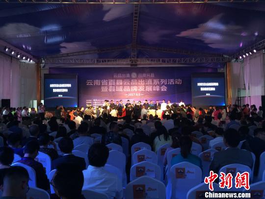 图为云南省“县域品牌发展峰会”现场 陈静 摄