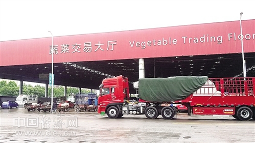 蔬菜价格走低,寿光的情况怎么样?|寿光|蔬菜|长