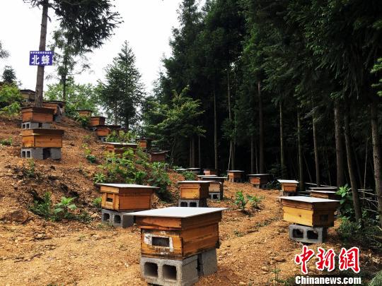 箐口村希望发展农业来带动当地村民增收。 杨云 摄