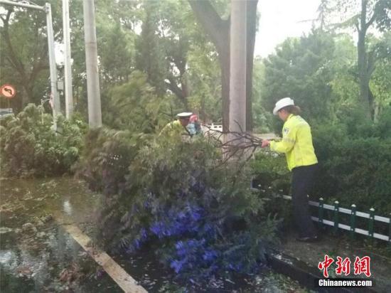 6月5日15时40左右,兰州天气突变,大风、暴雨、冰雹来袭,市区上空乌云密布。图为交警将刮断的树杈抬至路边。史静静 摄