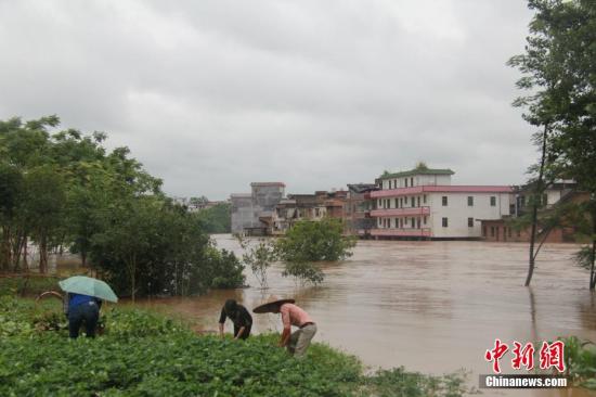暴雨袭击湖南嘉禾，部分农田被水淹街道变河流。6月6日，雨后村民在抢救农作物。邓和明 摄