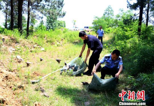 为保护尚且存活的鸟类,民警拍照取证后将其放归自然 钟欣 摄