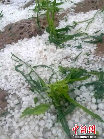 网购彩票重启最新消息