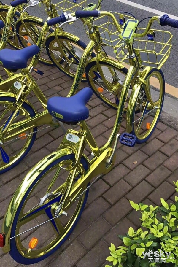 黄金圣斗士闪瞎眼 这款共享单车我服了|骑单车