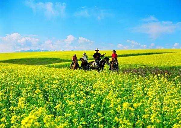 8月最佳旅行地!国内最凉爽的20个美景,每个都