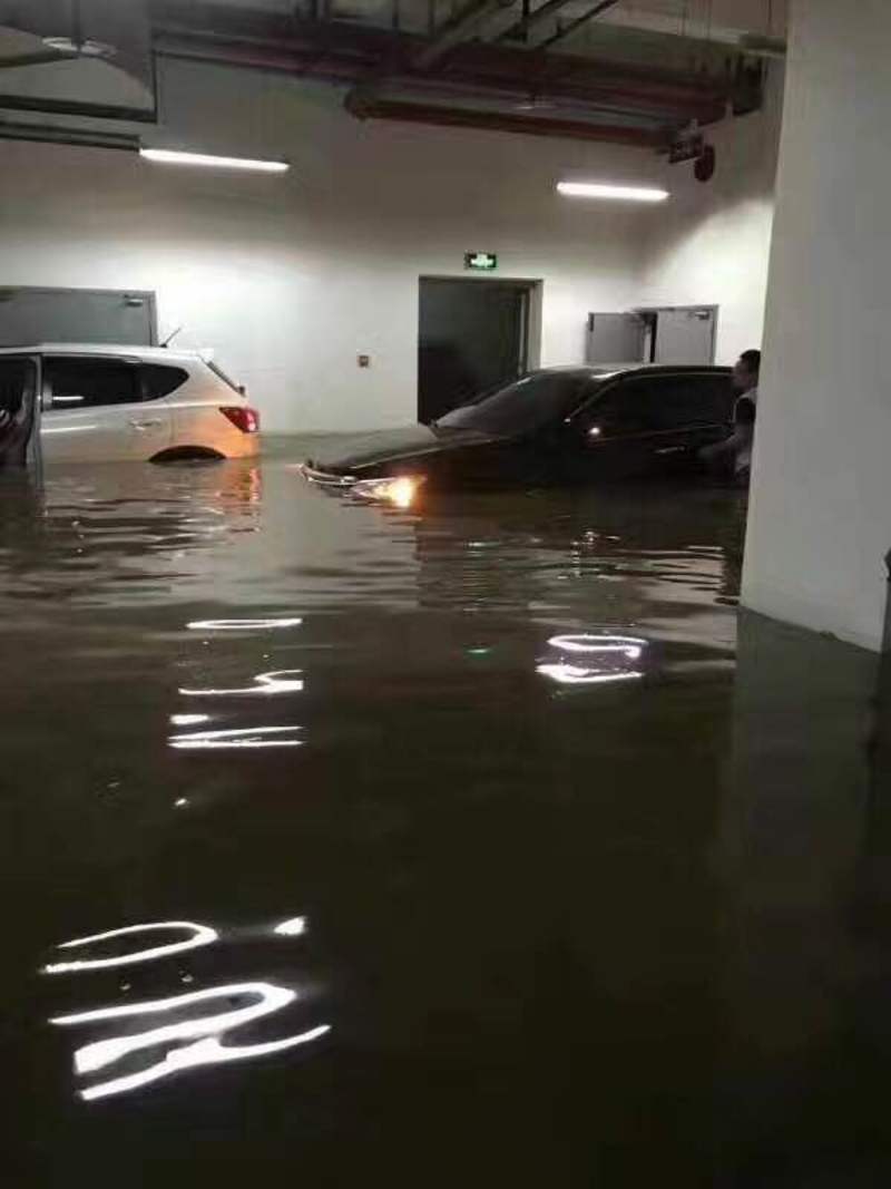 多图直击| 暴雨后合川变成了这样 消防已连夜救出149人