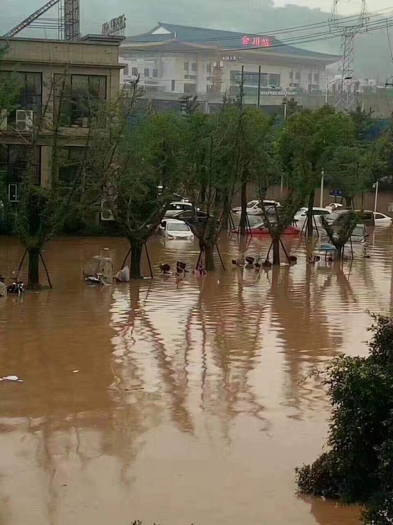多图直击| 暴雨后合川变成了这样 消防已连夜救出149人