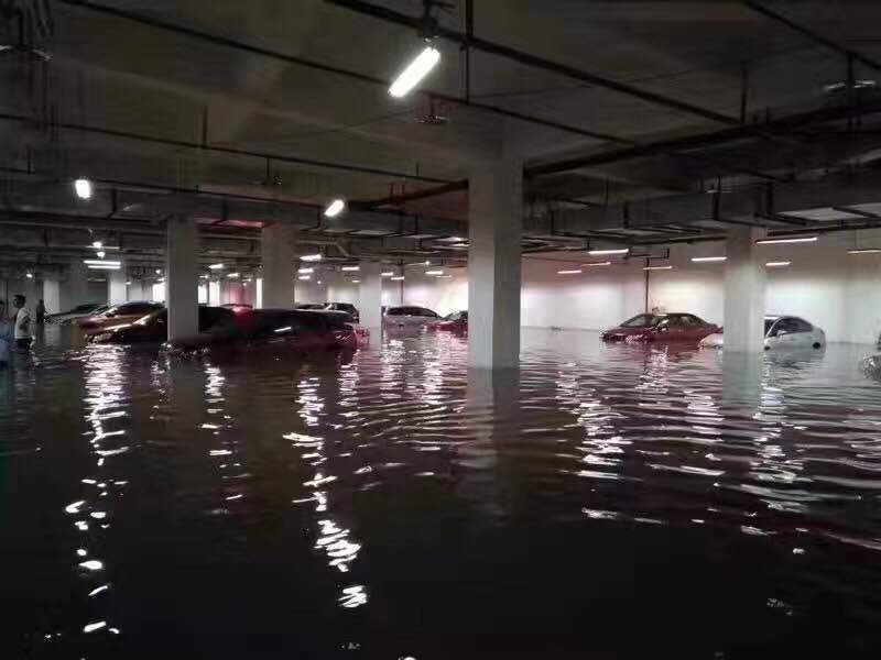 多图直击| 暴雨后合川变成了这样 消防已连夜救出149人