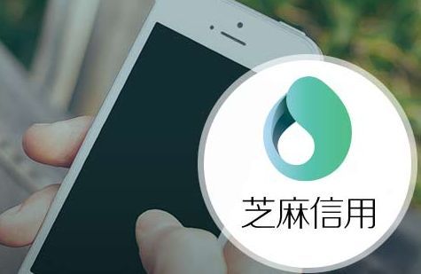 芝麻信用分700+办理日本签证免银行流水服务