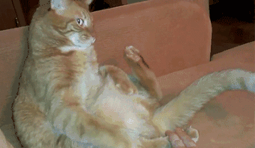 内涵搞笑:别想了,这种姑娘老司机,你拿不住的!