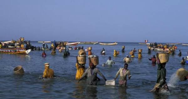  西非人民捕鱼场景。