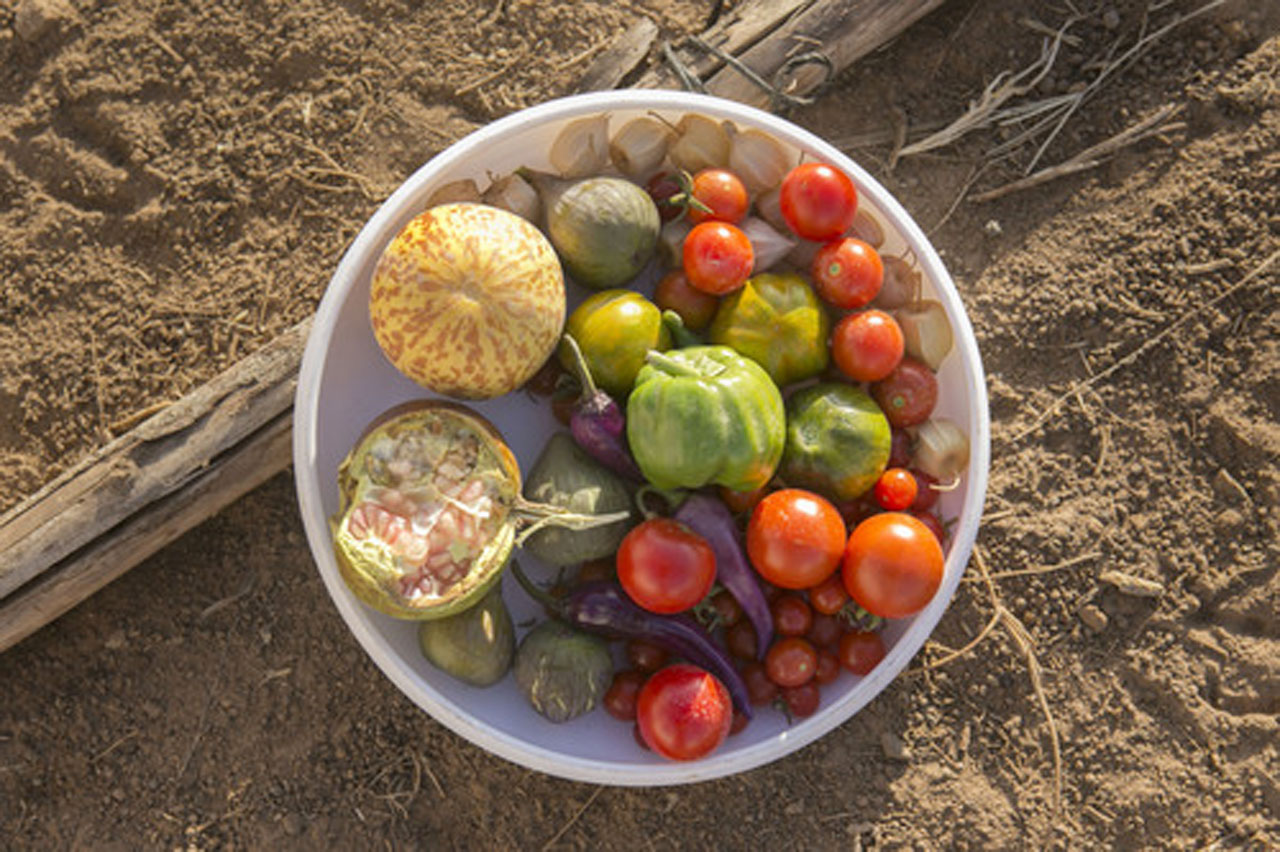 竟有不用插电就能用的冰箱？厉害了，我的哥