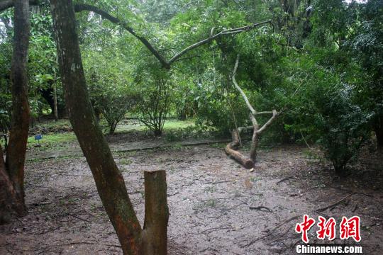 图为盗窃现场。 常宗波 摄