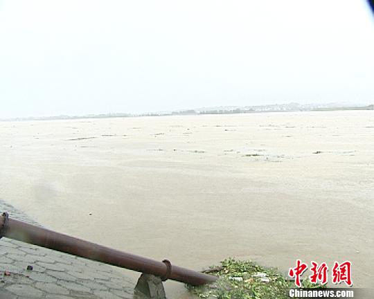 暴雨下的兰江,江水湍急. 市民提供 摄