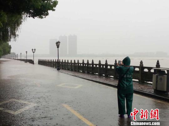 兰溪市民在拍摄暴雨下的兰江路路口 市民提供 摄