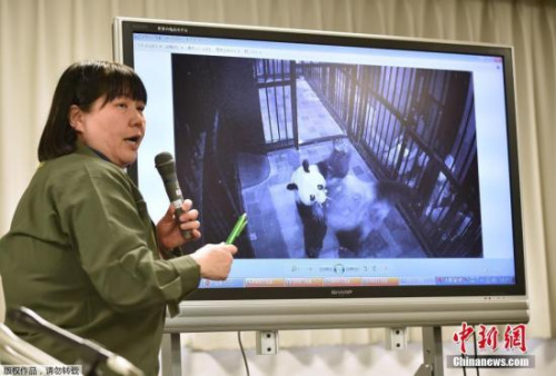 19名小学生忘带课本被逼自抽耳光 涉事教师被辞