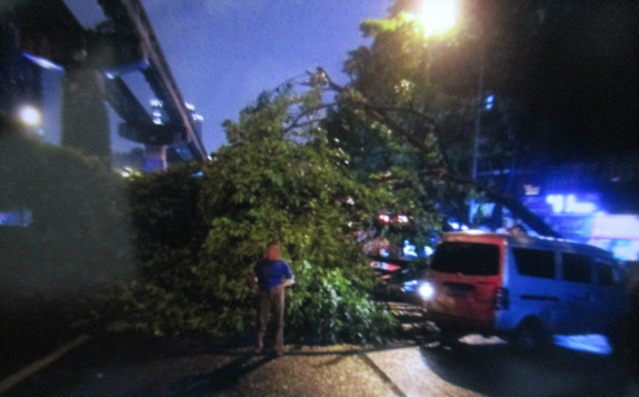 暴雨倾城折断大树 民警积极疏导交通