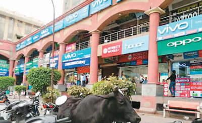 我在印度卖手机|印度|李力刚|手机品牌