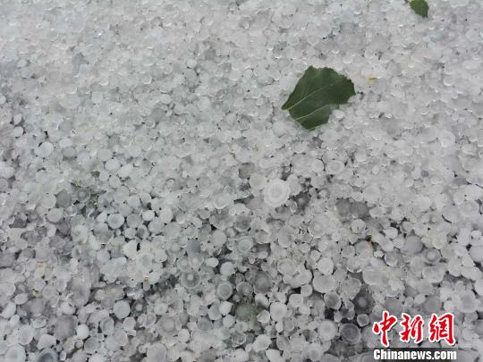 故城镇发生冰雹灾害。(图为当地宣传部门提供的网络截图)