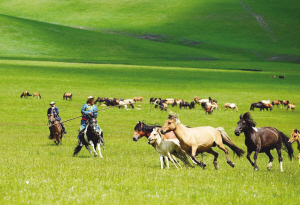 高品质旅游尾单特价甩 暑假出游赶快报名吧|尾