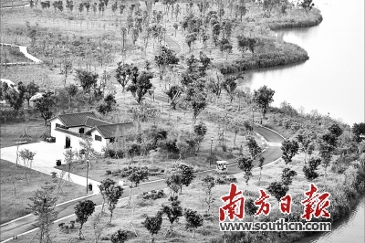 到2021年 东莞水乡新城片区年均增长超10%|水