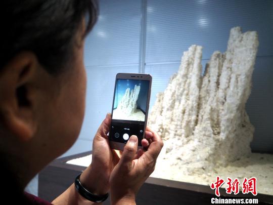 图为一名记者用手机拍摄盐花。 孙睿 摄
