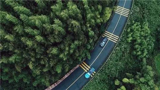 脱离中规中矩低级趣味的D级豪华车,除了Ta还有谁?