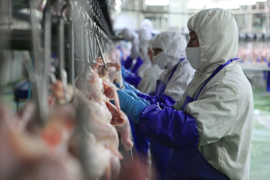 山东成我国出口食品农产品质量安全示范省