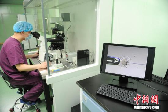 资料图:胚胎技术研究。图文无关。张瑶 摄