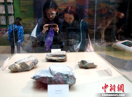 图为省外记者被昆仑山世界地质公园博物馆内的化石所吸引,驻足拍照。 孙睿 摄
