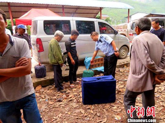 图为警方在集市查货野生画眉鸟 鲍富源 摄