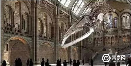 来vr博物馆,穿越时空见证历史