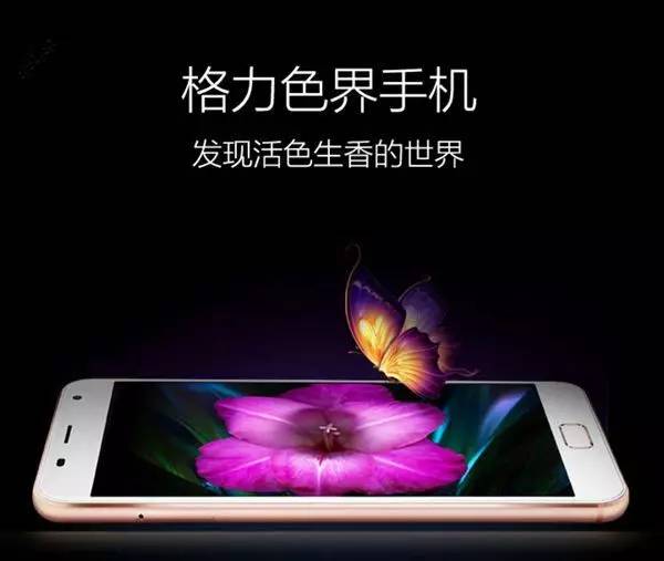 ▲图片来源：格力官网