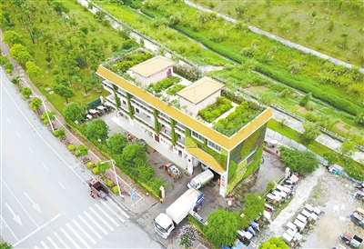垃圾分类与清运：绿色城市的秘密武器