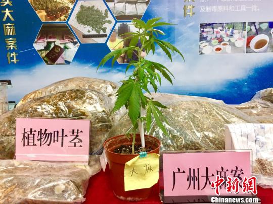 警方展示缴获的制作毒品原材料 韦杰夫 摄