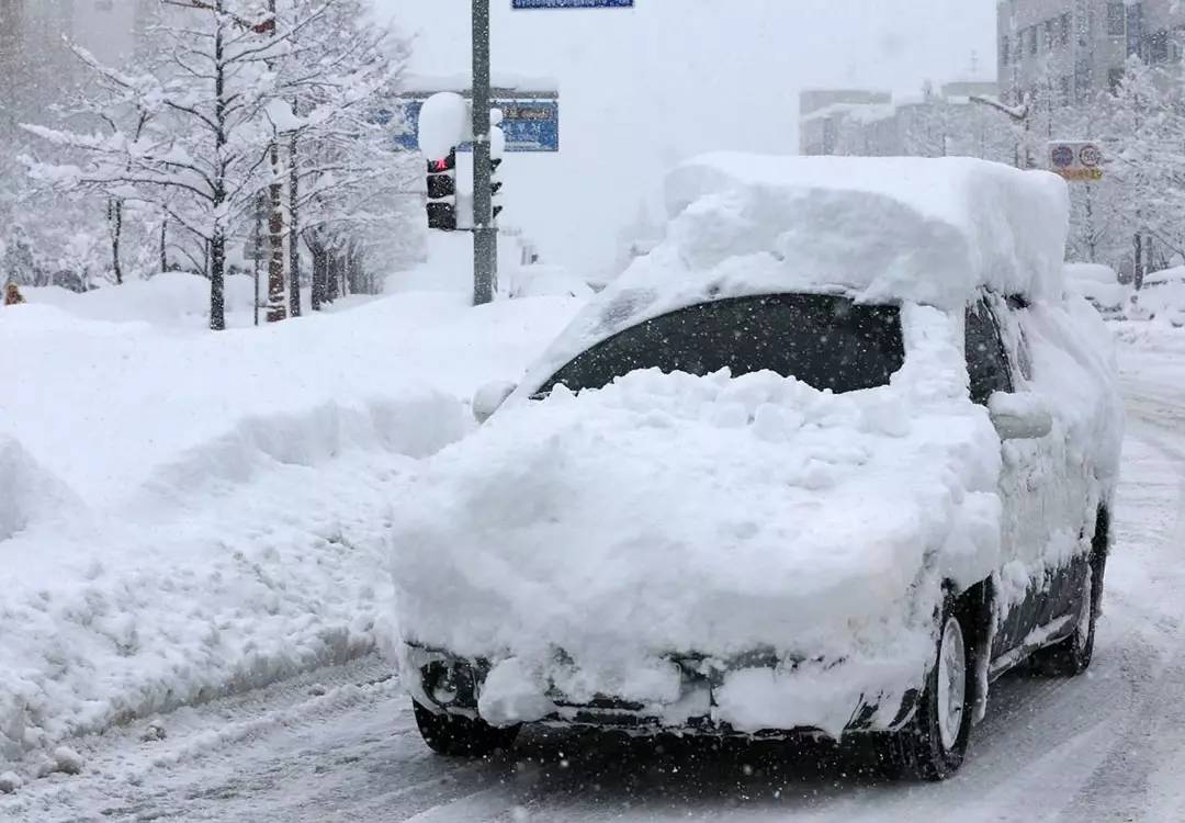 为什么考试不会就选C?选车不会就选大众?