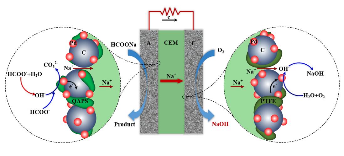 西安交大碱性燃料电池研究获新进展