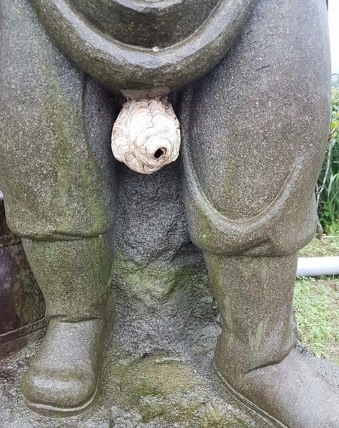 比基尼小弟弟 你红了你造吗?轻松一刻6月19日