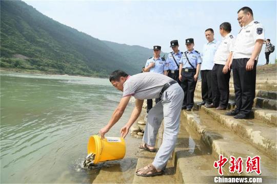 禁渔期电鱼获刑的贾某某在相关部门见证下向嘉陵江放流鱼苗。 高志农 摄